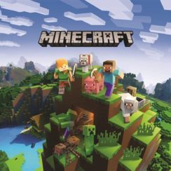 How To Play Minecraft On a Chromebook?