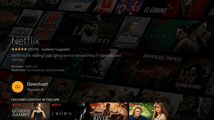 Netflix on firestick