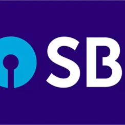What Is Bulk Posting In SBI? {Meaning and Explanation}