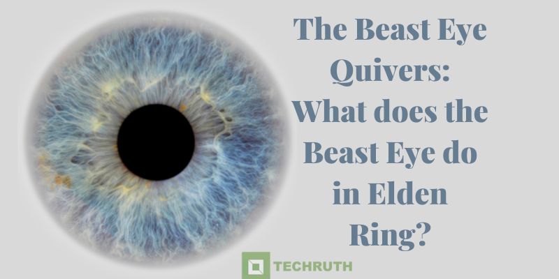 The Beast Eye Quivers What does the Beast Eye do in Elden Ring