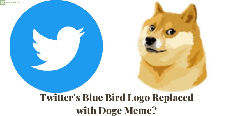 Twitter’s Blue Bird Logo Replaced with Doge Meme