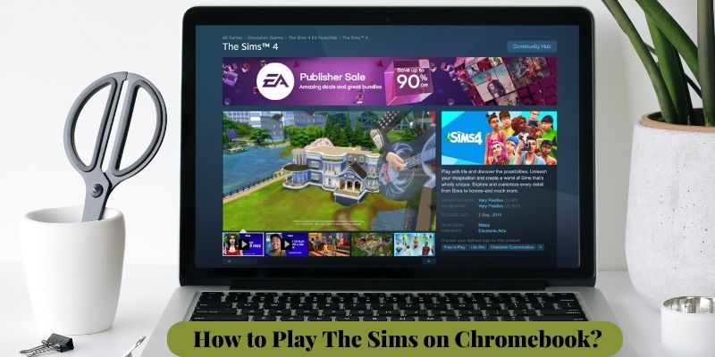 How to Play The Sims on Chromebook