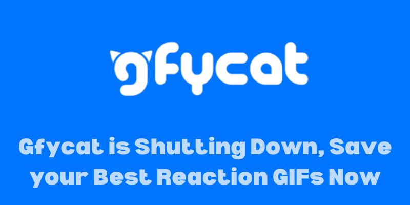 Gfycat is Shutting Down, Save your Best Reaction GIFs Now