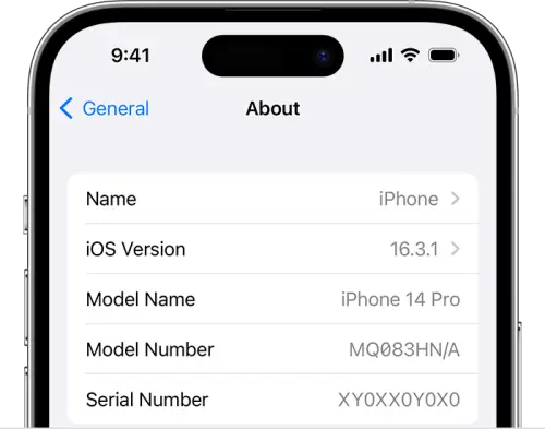 Determining the age of the iPhone with the help of serial number