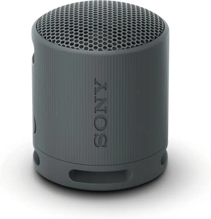 Sony SRS XB100